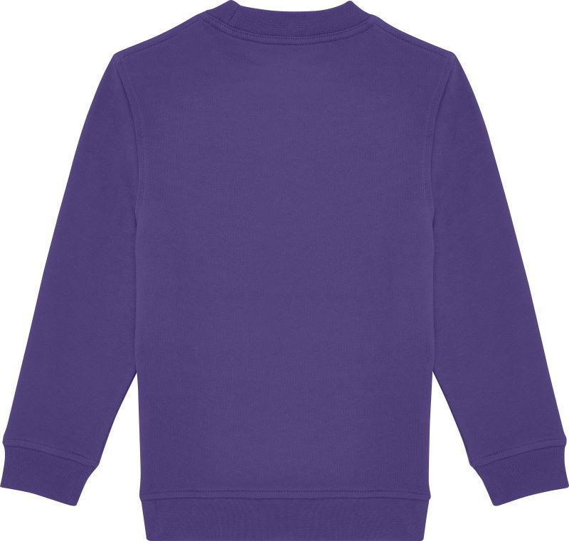 ID.332 Crew | Unisex Sweater (radiant purple)