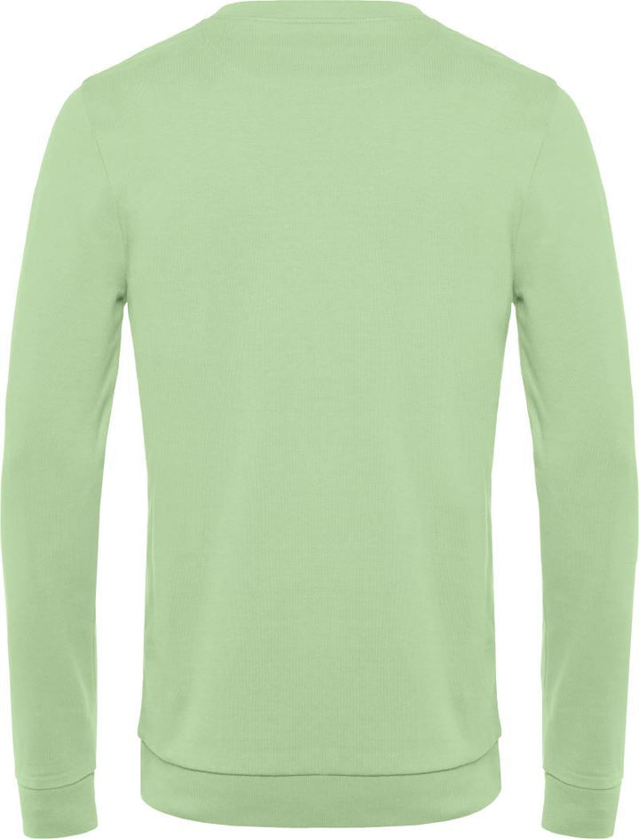 #Set In | Herren Sweater (light jade)