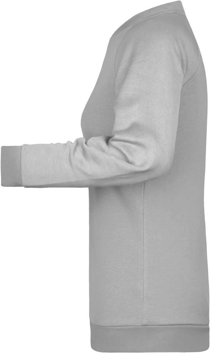 JN 793 | Damen Raglan Sweater (ash)