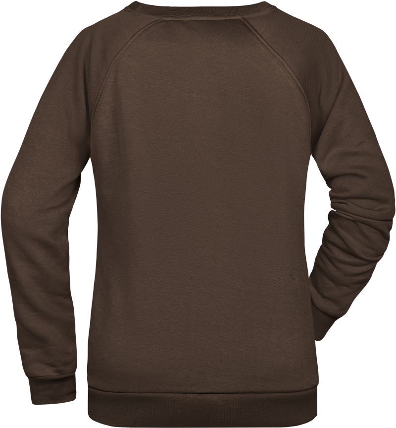 JN 793 | Damen Raglan Sweater (brown)