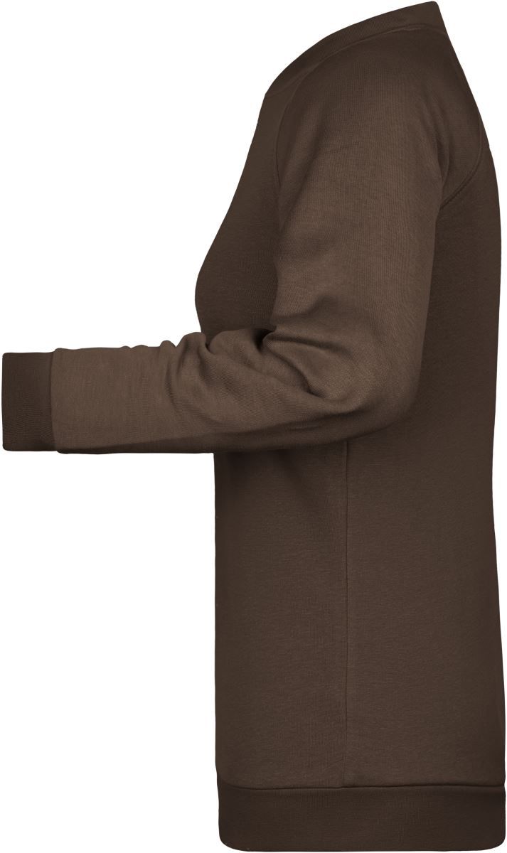 JN 793 | Damen Raglan Sweater (brown)