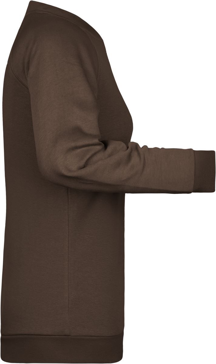 JN 793 | Damen Raglan Sweater (brown)