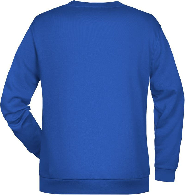 JN 794 | Herren Sweater (royal)