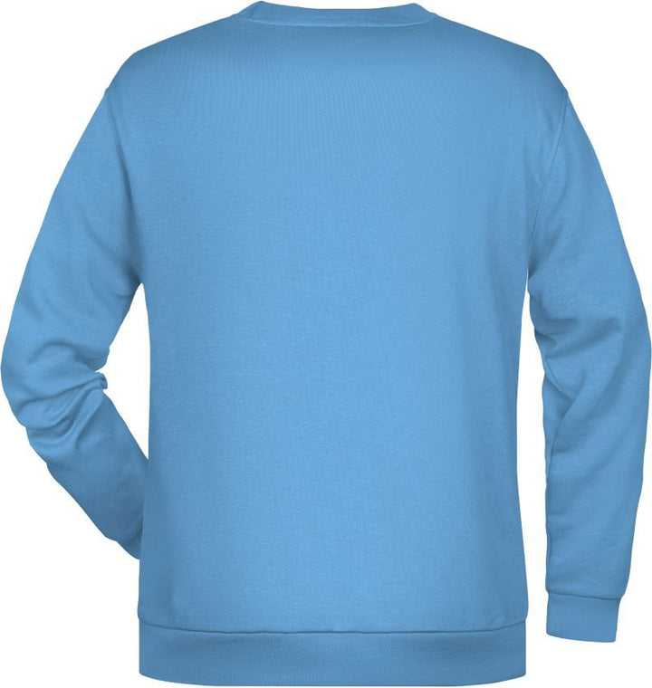 JN 794 | Herren Sweater (sky blue)