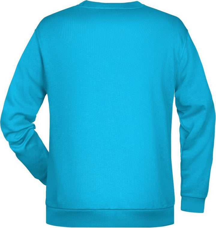 JN 794 | Herren Sweater (turquoise)