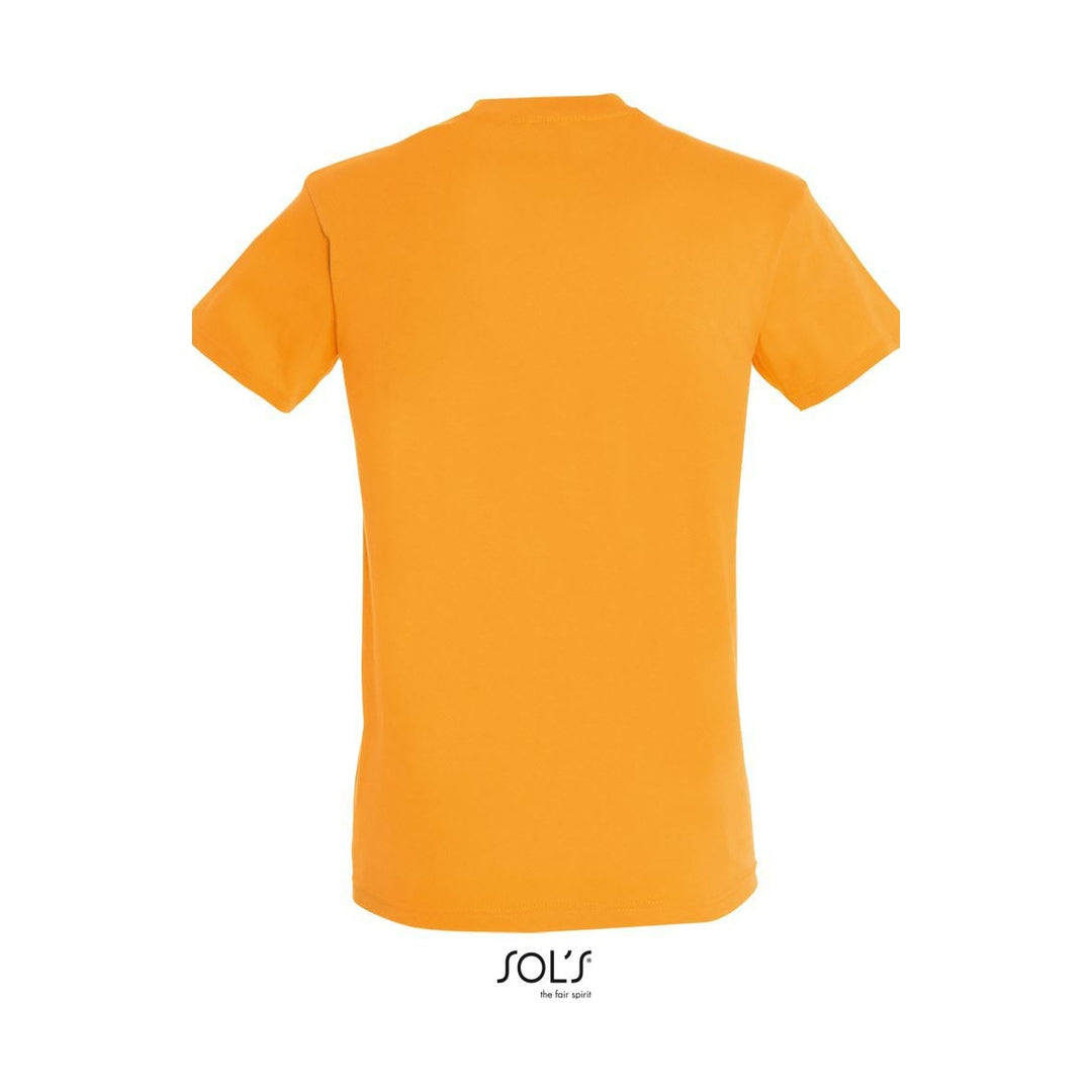 PS_251380_sol-s_regent_apricot_BACK_0879e1c7-8211-4288-9e58-d60cbfe5d12a_web