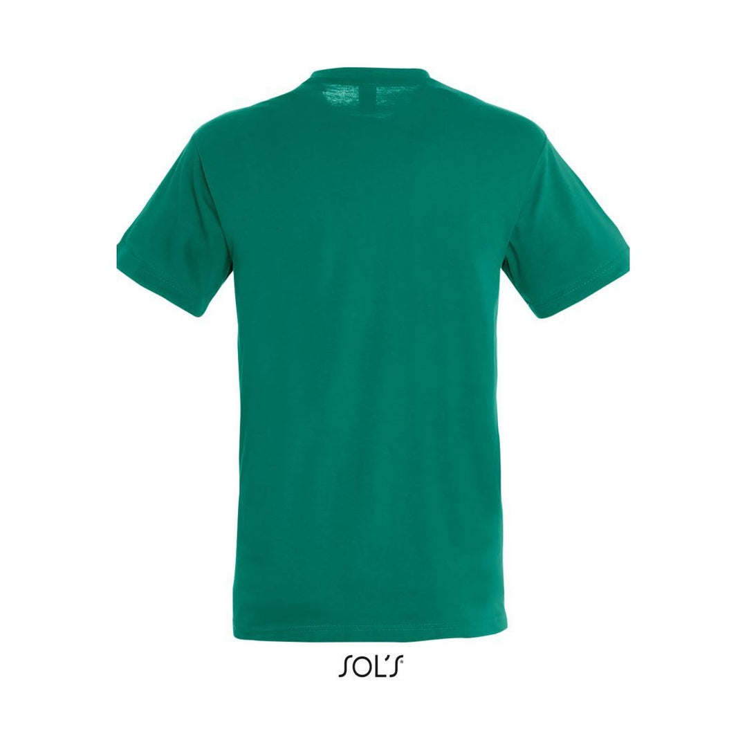 PS_251380_sol-s_regent_emerald_BACK_3fe1f1d1-9f82-4f41-bbca-dcb8cc42d513_web
